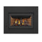 NAPOLEON INSPIRATION ZC Direct Vent Millivolt Ignition Natural Gas Fireplace Insert, 36" [GDIZC-NSB] (SAK58347) - Front View