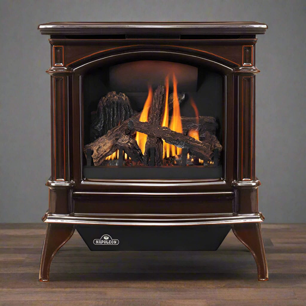 NAPOLEON KNIGHTSBRIDGE 60 Majolica Brown Natural Gas Stove With Flame And Heat Adjustment, 27" [GDS60-1NNSB] (SAK14738) - Living Room View