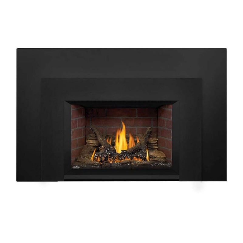 NAPOLEON OAKVILLE 3 Direct Vent Natural Gas Fireplace Insert, 28" [GDI3N-1] (SAK25498) - Front View