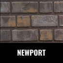 Napoleon Oakville 3 Glass Direct Vent Electronic Ignition Natural Gas Fireplace Insert, 28-Inch [GDIG3N] (SAK21347) Saksby Wholesale - Newport Brick Panel View