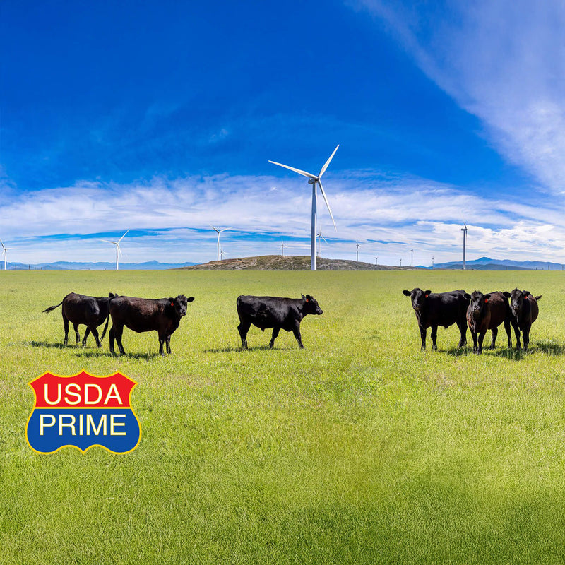 Premium Natural Grass Fed Black Angus Prime Ribeye Steak (Bulk Case) (SAK27851)