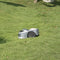 NOVABOT N2000 Premium Boundary Free Robot Lawn Mower For Large Lawns, 1.5 Acres - SAKSBY.com - Cutting Grass