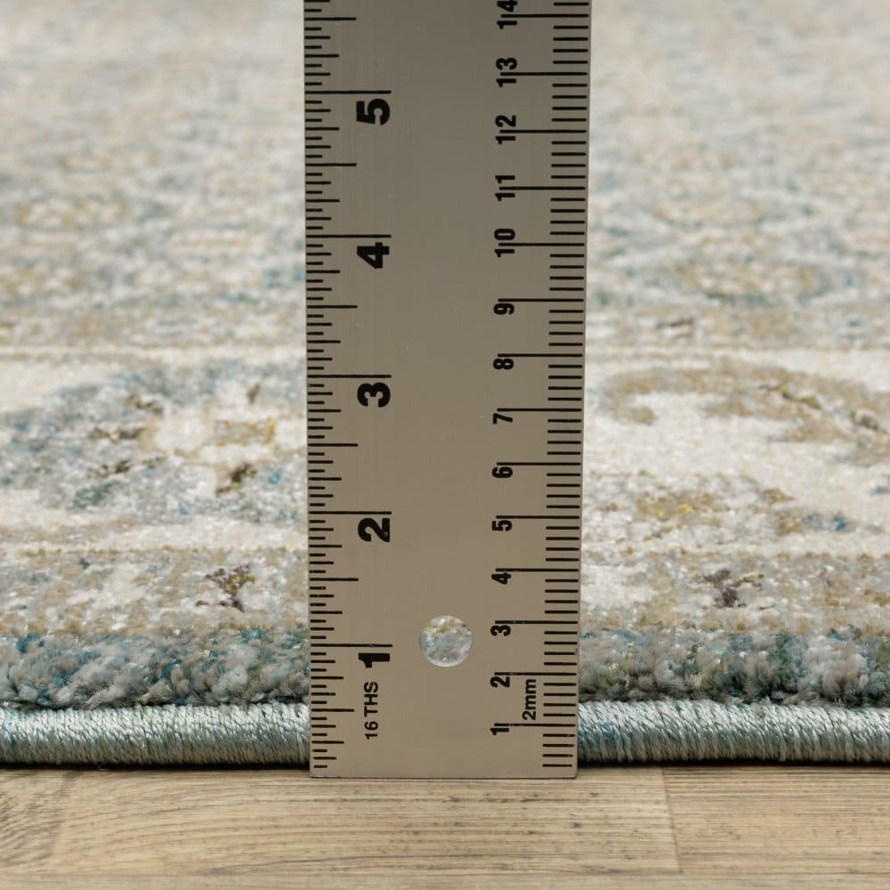 Oriental Weavers Andorra 2429A Blue Traditional Oriental Nylon Indoor Area Rectangle Rug (SAK32569)