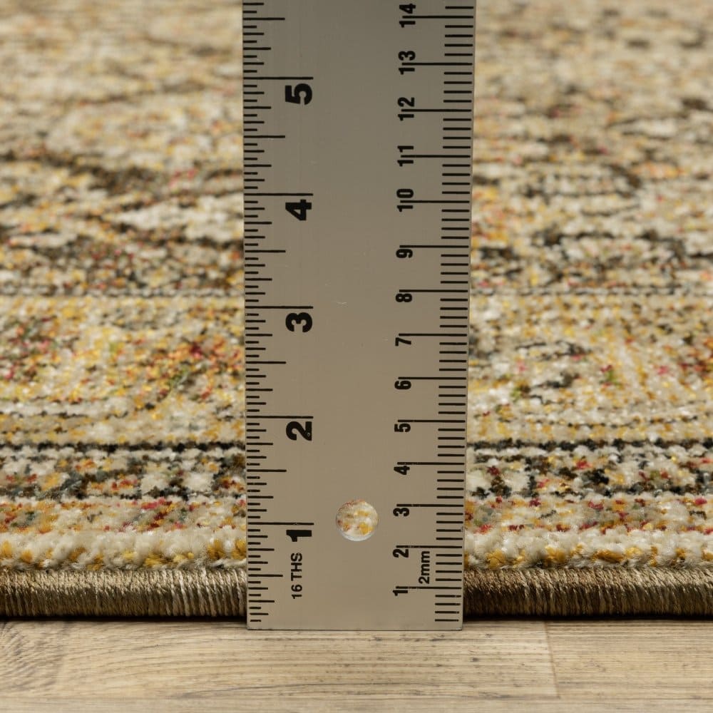 Oriental Weavers Andorra 2431A Brown Traditional Oriental Nylon Indoor Area Rectangle Rug (SAK54276)
