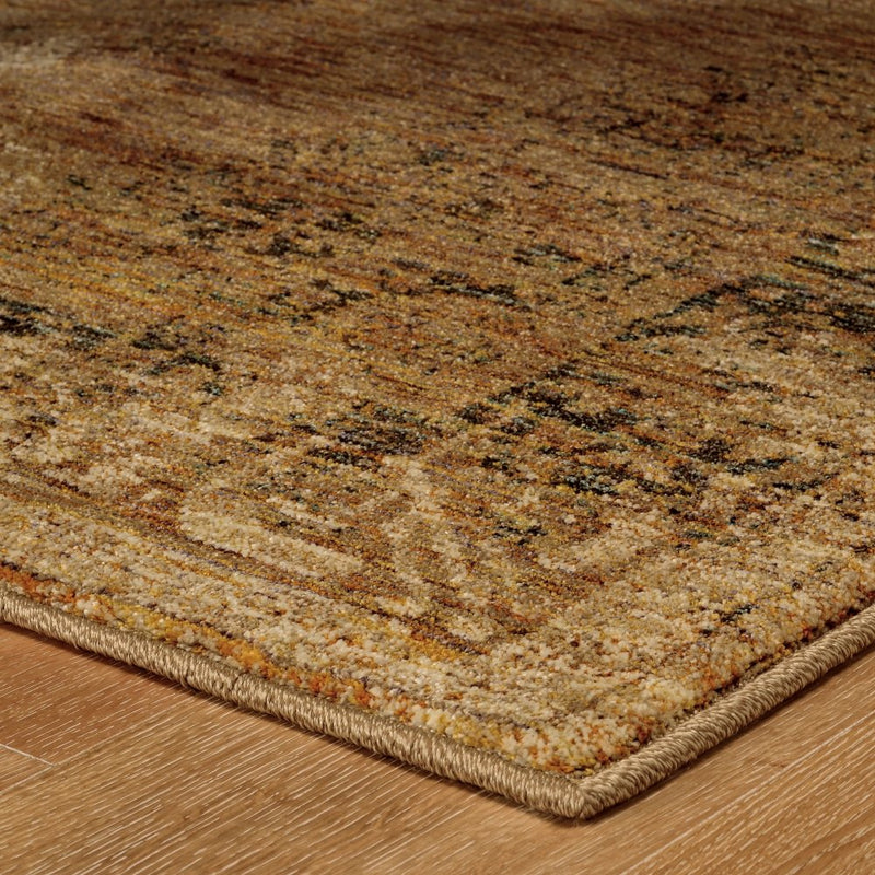 ORIENTAL WEAVERS Andorra 6845D Brown Vintage Oriental Nylon Indoor Area Rectangle Rug (SAK78905)