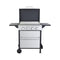 Premium Outdoor 4-Burner Propane BBQ Grill With Foldable Side Tables, Hanging Basket, And Cooking Grids (SAK53213) - Saksby Wholesale - White Background