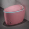 Smart One-Piece Toilet With Bidet, Foot Sensor, LED Display And Dryer (SAK80112)