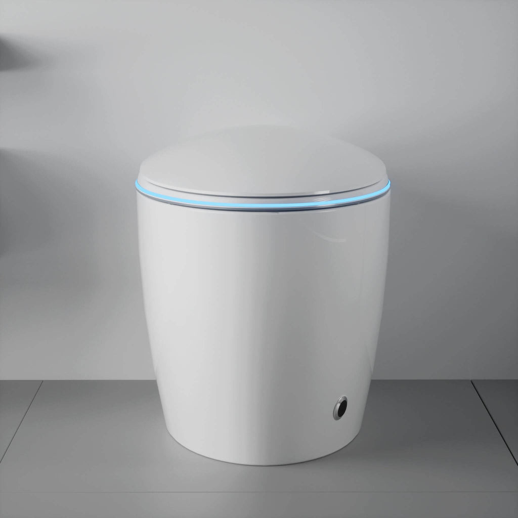 Smart One-Piece Toilet With Bidet, Foot Sensor, LED Display And Dryer (SAK80112) - Saksby Wholesale - Front View Bathroom Setup