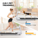 Smart Pet Treadmill With Adjustable Speed For Small And Medium Dogs (SAK72537)- Saksby Wholesale - 2in1