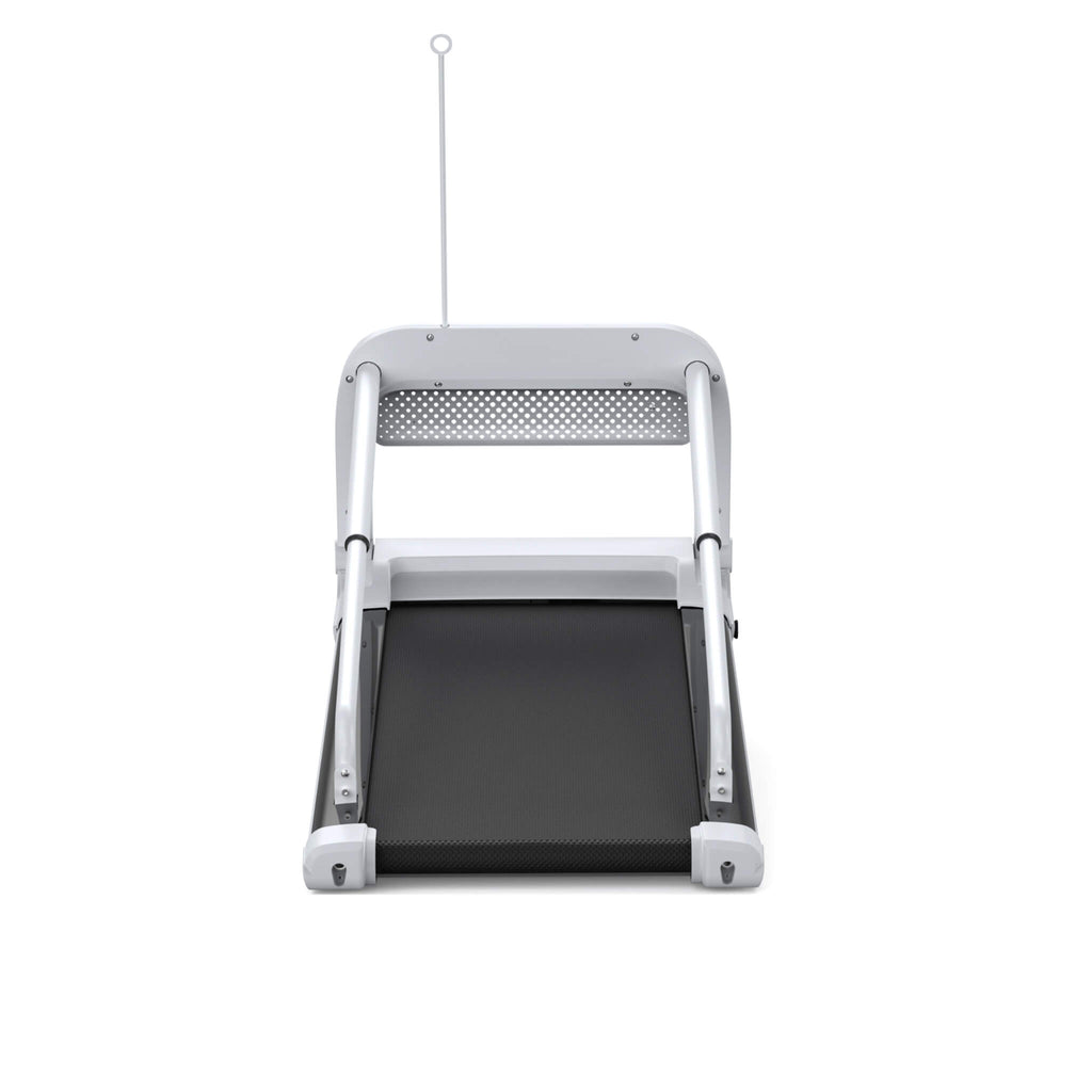 Smart Pet Treadmill With Adjustable Speed For Small And Medium Dogs (SAK72537)