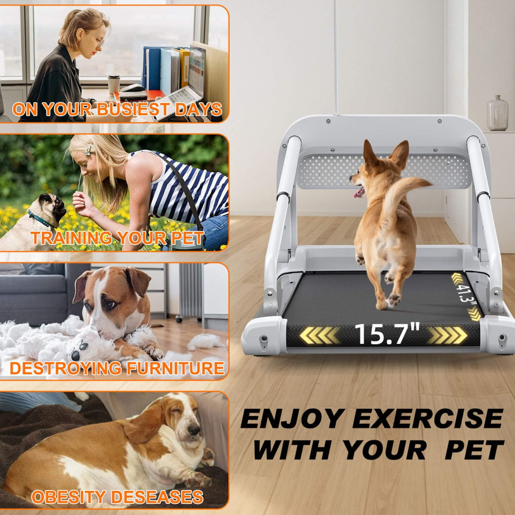 Smart Pet Treadmill With Adjustable Speed For Small And Medium Dogs (SAK72537)- Saksby Wholesale - Benefits