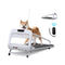 Smart Pet Treadmill With Adjustable Speed For Small And Medium Dogs (SAK72537)- Saksby Wholesale - Actual Display