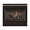 Superior Fireplaces 35" Direct Vent Traditional Gas Fireplace With Battery Backup [DRT2035R/TEP-C] (SAK74902)