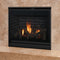 Superior Fireplaces DRT3000 Series Traditional Direct Vent Natural Gas Fireplace [DRT3035DMN-C] (SAK52683)