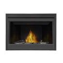 TIMBERWOLF Direct Vent Millivolt Ignition Natural Gas Fireplace [TB42NTR] (HBG53914) - HBG