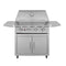 TrueFlame E Series Built-In Stainless Steel Gas Freestanding Grill With Side Shelves (SAK96473) SAKSBY - 32" Closed Cover View