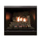 White Mountain Hearth Tahoe Clean Face Direct Vent Deluxe Fireplace With Millivolt Control And On/Off Switch [DVCD32FP30N/P] (SAK72051)