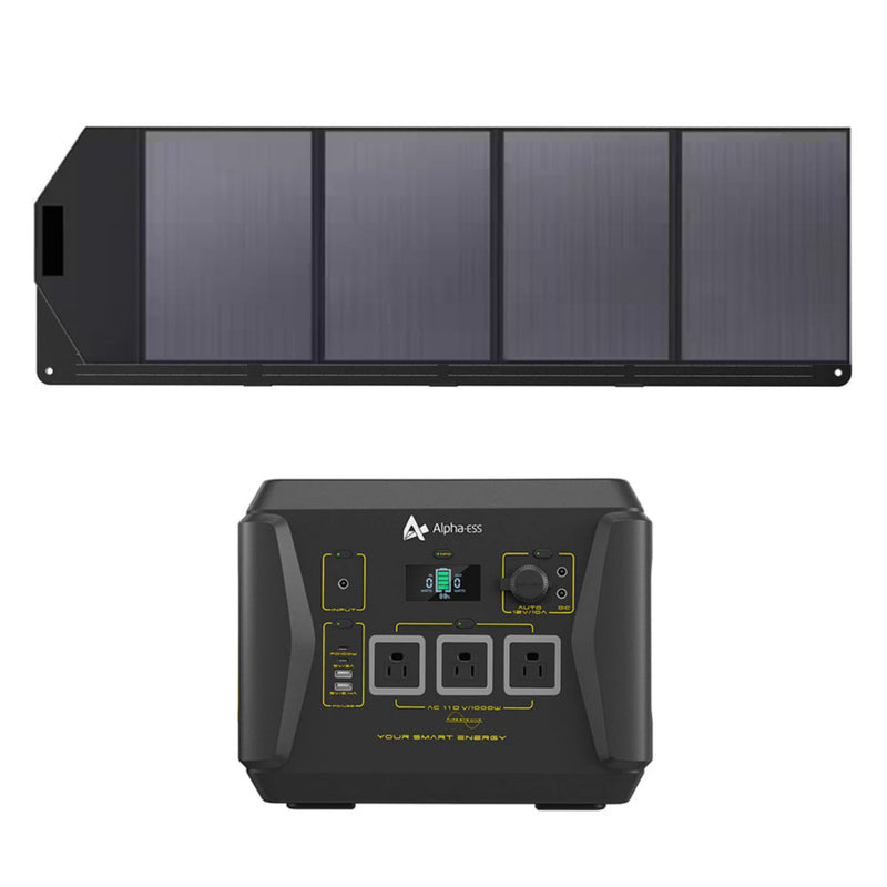 Paquete ALPHAESS 1000 - Panel solar BlackBee 1000 y SP200 (95328014)