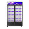 ALKCOOL SGDR47 Slim Line Commercial Double Glass Door Merchandiser, 47" (97263518) - SAKSBY.com - SAKSBY.com