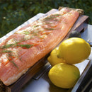 American Outdoor Grill 24NBL-00SP L-Series 2-Burner Built-In Natural Gas Grill, 24" [24NBL-00SP] (SAK10834) - Saksby Wholesale - Salmon Demonstration View