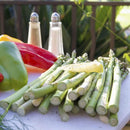 American Outdoor Grill 30NBL L-Series 3-Burner Built-In Natural Gas Grill W/ Rotisserie Kit, 30" [30NBL] (SAK57636) - Saksby Wholesale - Asparagus Demonstration View