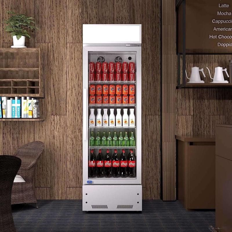 Heavy Duty Industrial Glass Door Beverage Merchandiser Refrigerator Cooler, 11 Cu.Ft (SAK04571) - Saksby Wholesale - Lifestyle View