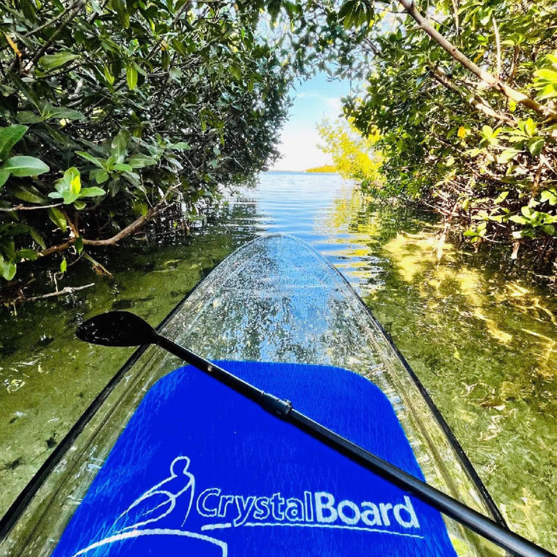 Crystal Kayak Premium 1-Person Outdoor Clear Transparent SUP With Paddle, 11FT (SAK37248) - Saksby Wholesale - River Setup