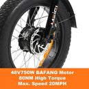 DWMEIGI MG1703 4818Ah 750W Fat Tire Electric Trike - SAKSBY.com - Electric Bicycles - SAKSBY.com