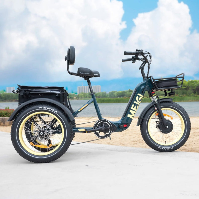 DWMEIGI MG2301 SILVERADO 20" 48V/14AH 750W Foldable Fat Tire Electric Trike, 330LBS Side View