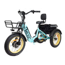 DWMEIGI MG2301 SILVERADO 20" 48V/14AH 750W Foldable Fat Tire Electric Trike, 330LBS Side View