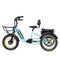 DWMEIGI MG2301 SILVERADO 20" 48V/14AH 750W Foldable Fat Tire Electric Trike, 330LBS (96817362) - Side View