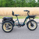 DWMEIGI MG2301 SILVERADO 20" 48V/14AH 750W Foldable Fat Tire Electric Trike, 330LBS Side View