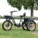 DWMEIGI MG2301 SILVERADO 20" 48V/14AH 750W Foldable Fat Tire Electric Trike, 330LBS Side View