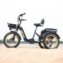 DWMEIGI MG2301 SILVERADO 20" 48V/14AH 750W Foldable Fat Tire Electric Trike, 330LBS Side View