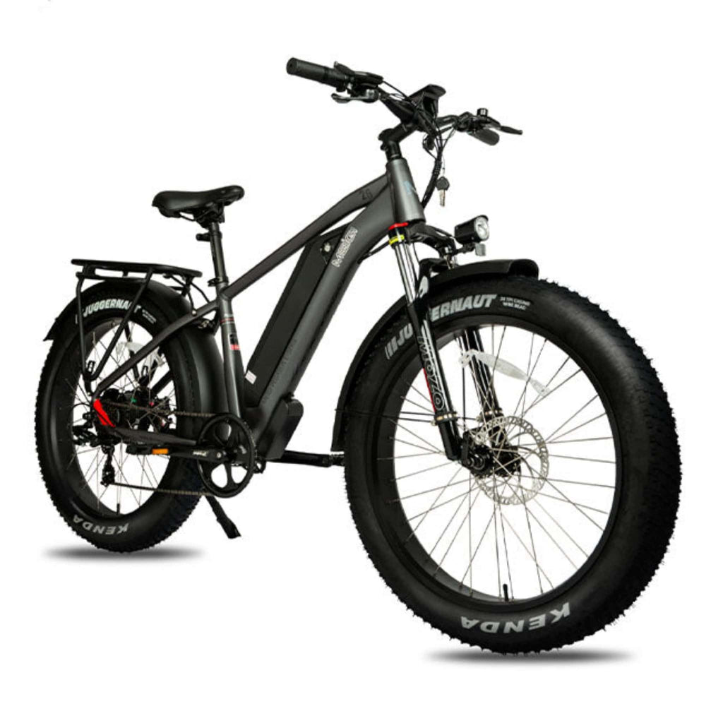 DWMEIGI MG8713 PEGASUS 26" 48V/16AH 750W Fat Tire Electric Bike, 280LBS - SAKSBY.com - Electric Bicycles - Side View
