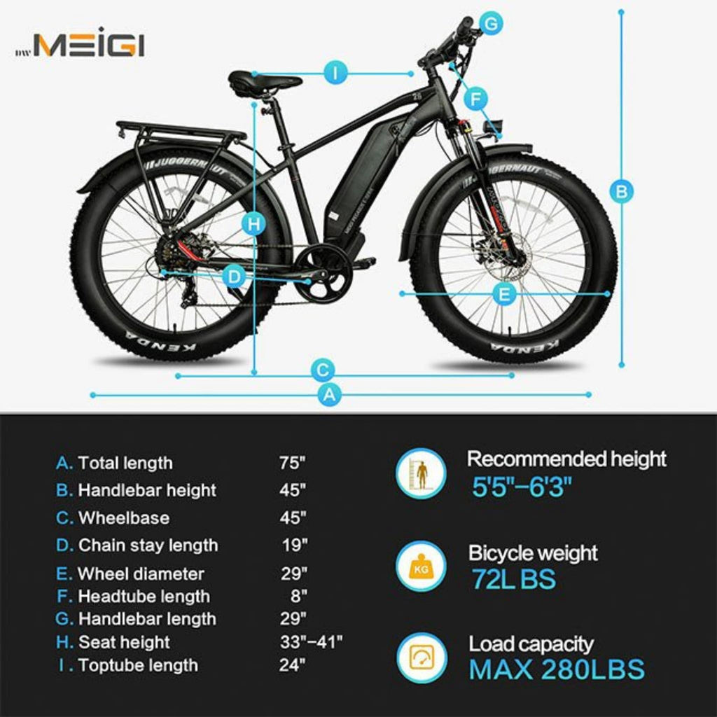 DWMEIGI MG8713 PEGASUS 26" 48V/16AH 750W Fat Tire Electric Bike, 280LBS - SAKSBY.com - Electric Bicycles - SAKSBY.com