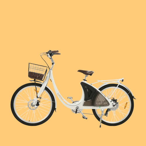 Ecotric Electric City