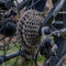 EUNORAU 26" FAT-HS 48V/14Ah Fat Tire Electric Bike, 1000W - SAKSBY.com - Electric Bicycles - SAKSBY.com