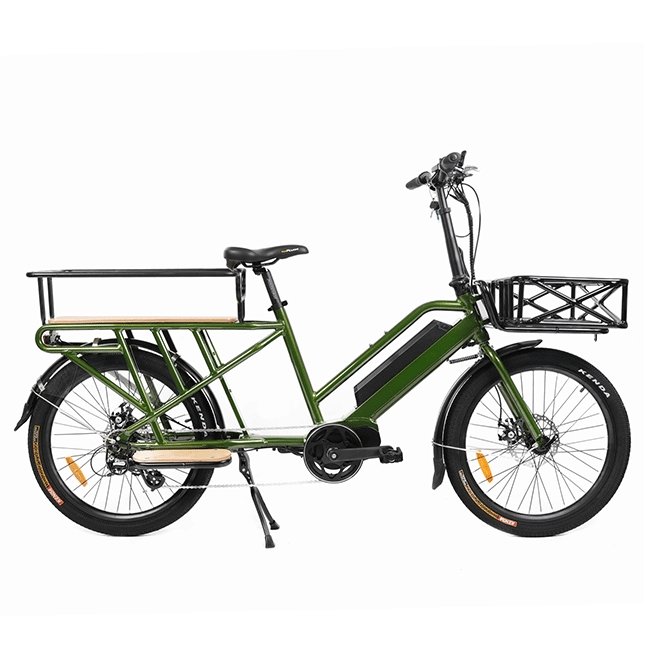 EUNORAU G20-Cargo 24" 48V11Ah Cargo Electric Bike, 500W - SAKSBY.com - Electric Bicycles - SAKSBY.com