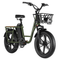 FIIDO T1 20" 48V/20Ah Cargo Electric Bike, 750W - SAKSBY.com - Electric Bicycles - SAKSBY.com