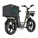 FIIDO T1 20" 48V/20Ah Cargo Electric Bike, 750W - SAKSBY.com - Electric Bicycles - SAKSBY.com