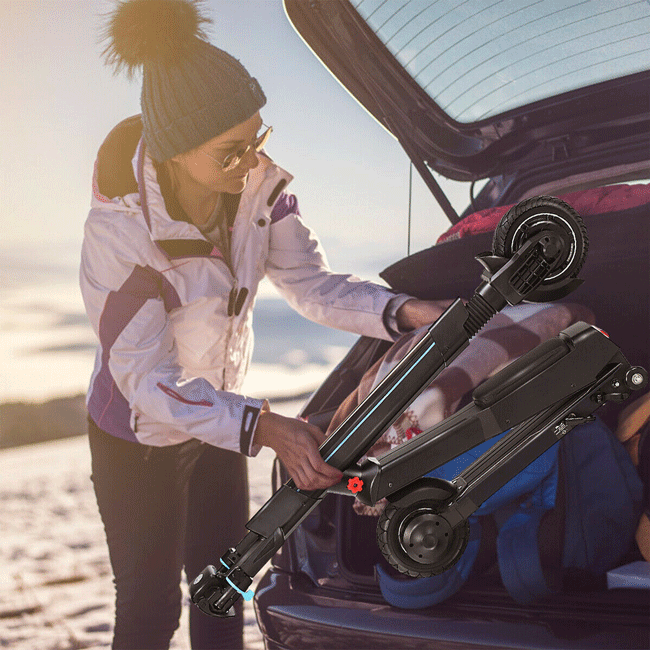 GOPLUS 250W Foldable Motorized Adult Electric Scooter With Seat - SAKSBY.com - Sports & Outdoors - SAKSBY.com
