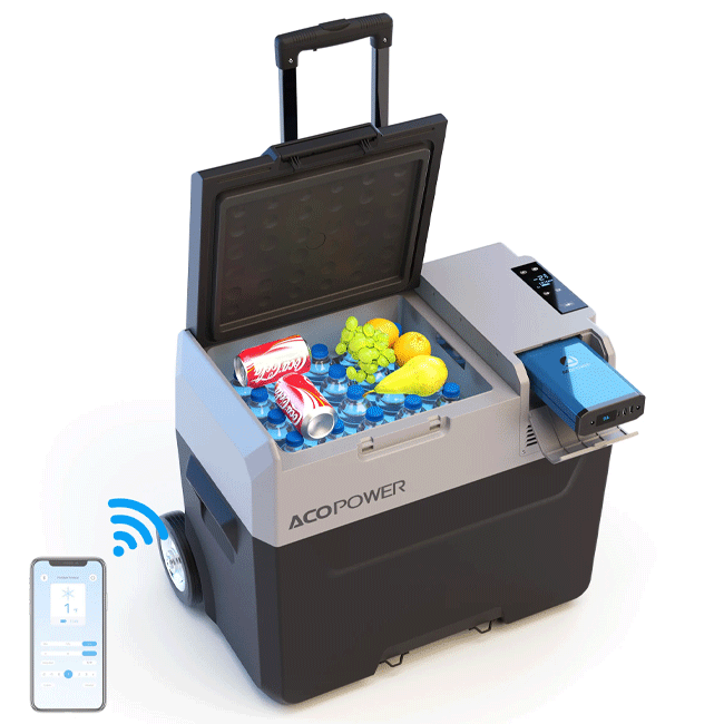 LIONCOOLER Pro 42 Quarts Portable Solar Fridge Freezer - SAKSBY.com - Refrigerators - SAKSBY.com