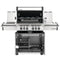 NAPOLEON Prestige PRO 500 Freestanding Natural Gas Grill W/ Infrared Rear/Side Burners & Rotisserie Kit Back View