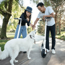 OKAI Neon 36V 250W Lithium Electric Foldable Scooter For Adults - SAKSBY.com - Pizza Ovens - SAKSBY.com