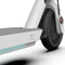 Okai Neon 36V 250W Lithium Ion Electric Foldable Scooter For Adults (SAK11872) - Saksby Wholesale - Details
