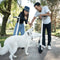 Okai Neon 36V 250W Lithium Ion Electric Foldable Scooter For Adults (SAK11872) - Saksby Wholesale - Park