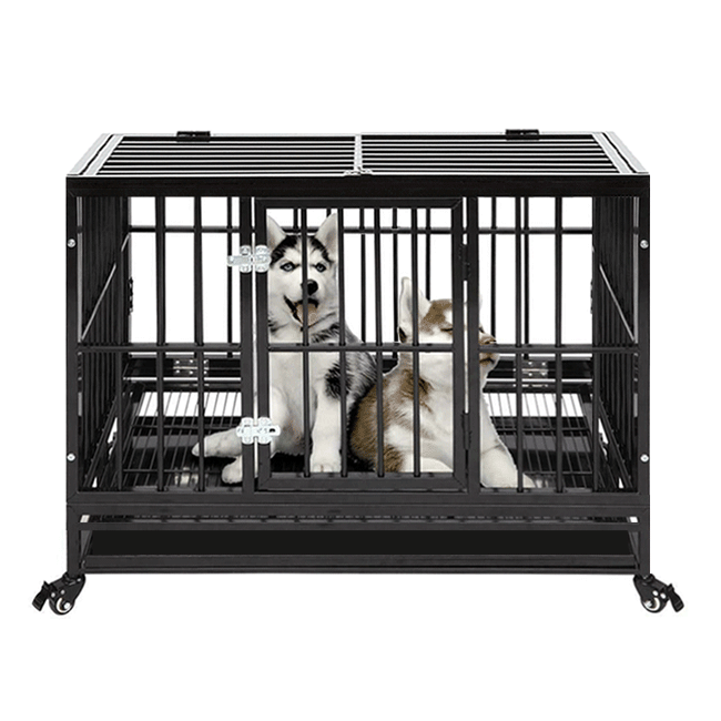 Portable Indoor Outdoor Foldable Metal Dog Crate