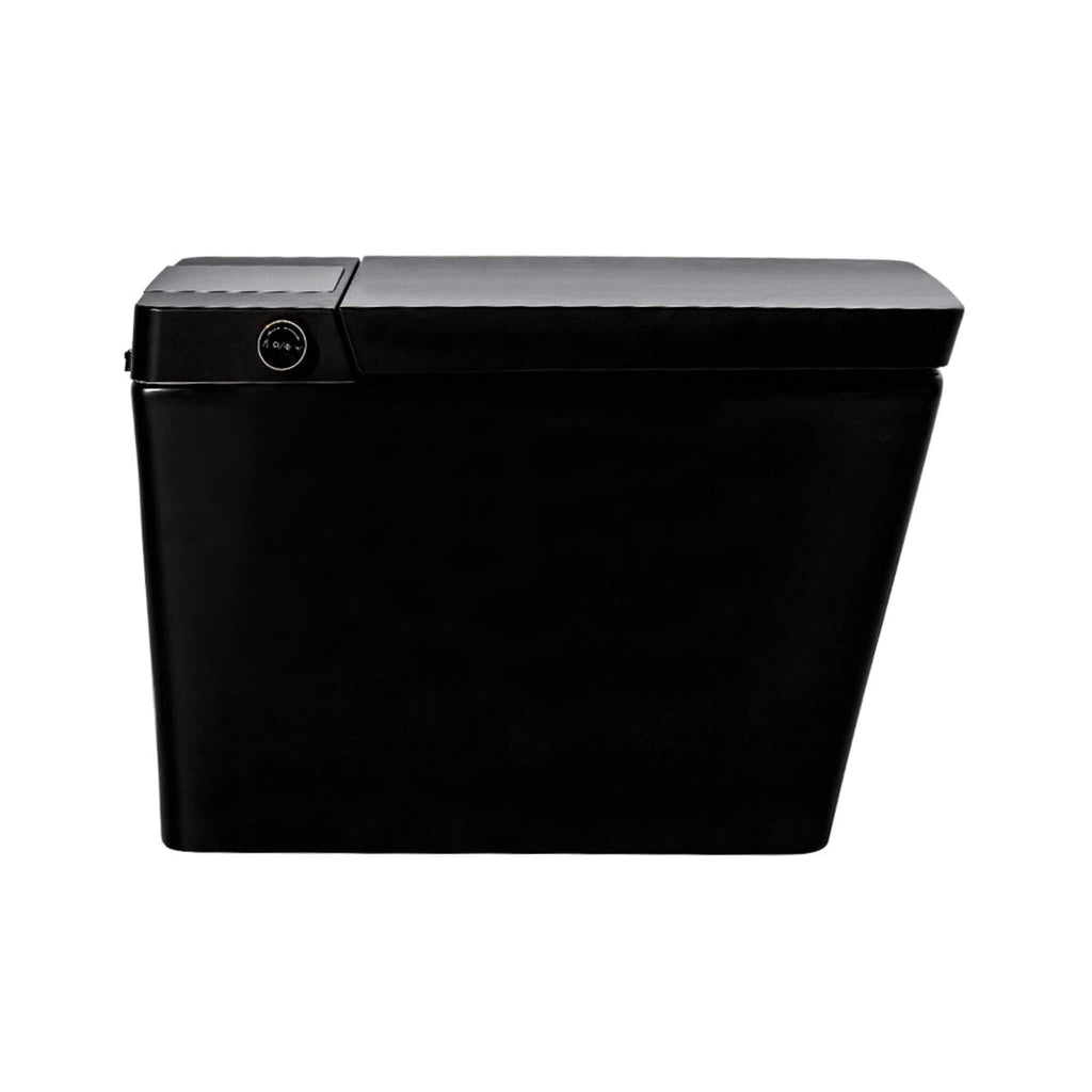 Premium Multifunctional Single-Piece Automatic Smart Toilet With Remote Control, Matte Black (96471352) - SAKSBY.com - Toilets - SAKSBY.com