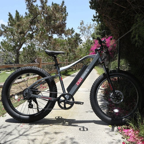 Revi Bikes Predator